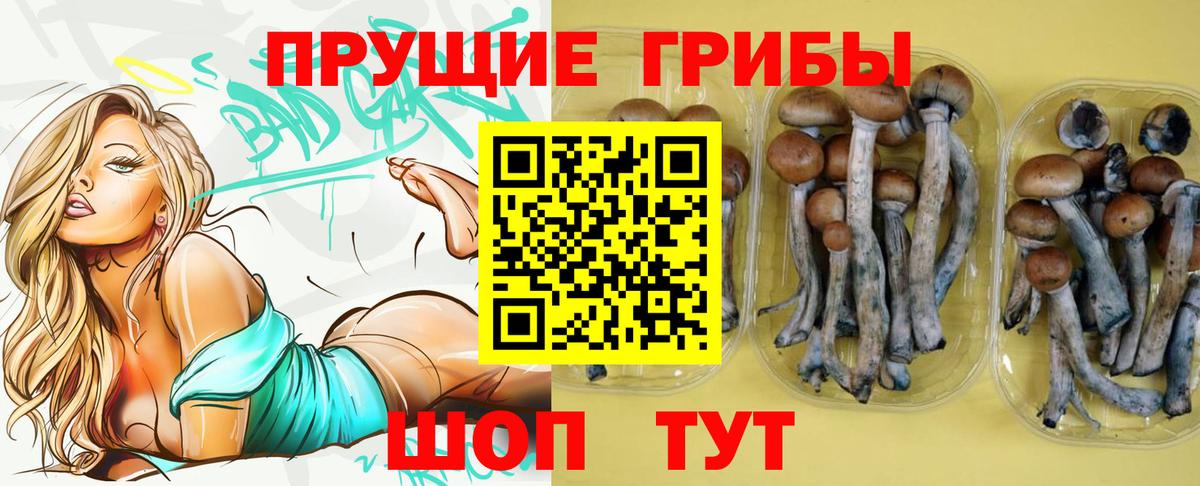 Галлюциногенные грибы MAGIC MUSHROOMS  Галлюциногенные грибы мицелий  Полевской  Вход с VPN 